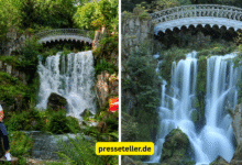 Kasselladi – Ein umfassender Leitfaden für alle, die mehr erfahren wollen kasselladi