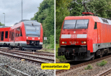 zug entgleist herzberg