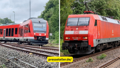 zug entgleist herzberg