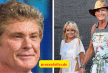 david hasselhoff ehepartnerin